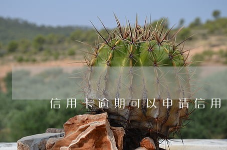 信用卡逾期可以申请信用贷吗 信用卡逾期可以申请信用贷吗