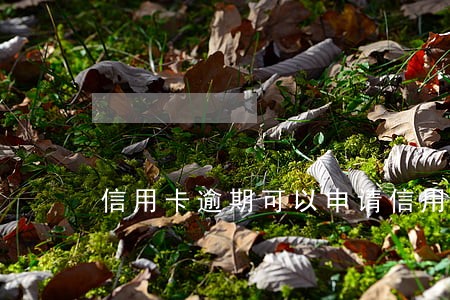 信用卡逾期可以申请信用钱包 信用卡逾期可以申请信用钱包