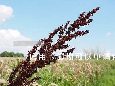 信用卡逾期可以申请停止利息吗
