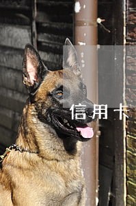 信用卡逾期可以申请减免全部 信用卡逾期可以申请减免全部