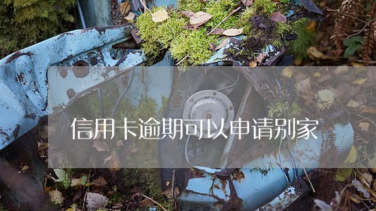 信用卡逾期可以申请别家 信用卡逾期可以申请别家