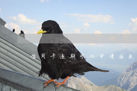 信用卡逾期可以申请挂失吗 信用卡逾期可以申请挂失吗