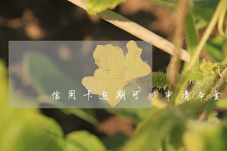 信用卡逾期可以申请本金结清吗 信用卡逾期可以申请本金结清吗