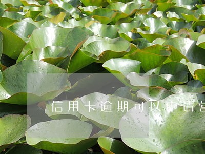 信用卡逾期可以申请营业执照吗 信用卡逾期可以申请营业执照吗