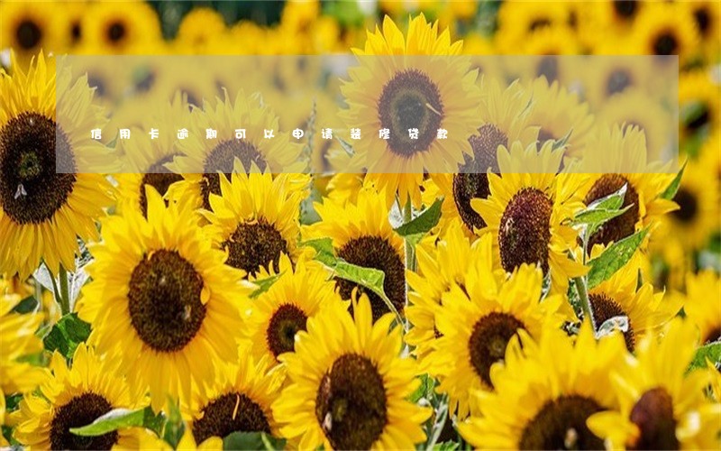 信用卡逾期可以申请装修贷款 信用卡逾期可以申请装修贷款