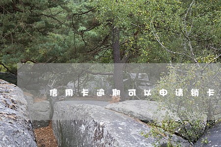信用卡逾期可以申请销卡吗 信用卡逾期可以申请销卡吗