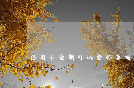 信用卡逾期可以登抖音吗