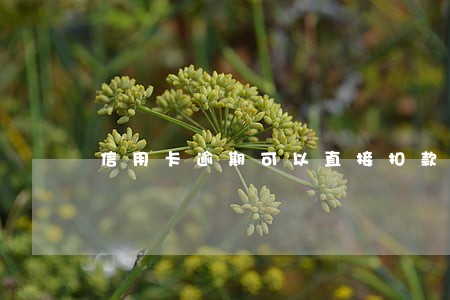 信用卡逾期可以直接扣款吗