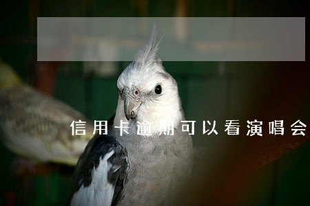 信用卡逾期可以看演唱会吗