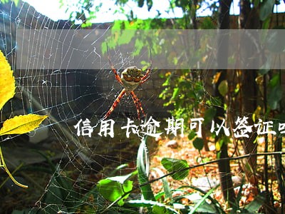 信用卡逾期可以签证吗