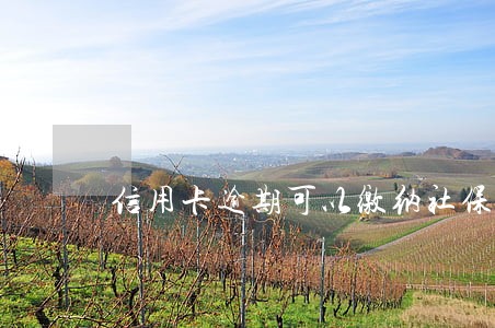信用卡逾期可以缴纳社保吗 信用卡逾期可以缴纳社保吗