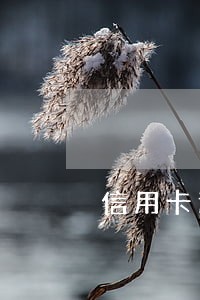 信用卡逾期可以网络仲裁吗 信用卡逾期可以网络仲裁吗