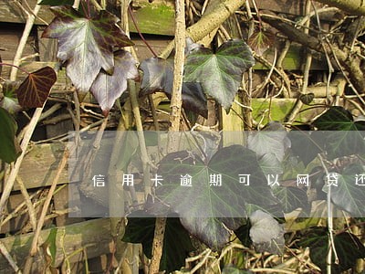 信用卡逾期可以网贷还吗 信用卡逾期可以网贷还吗