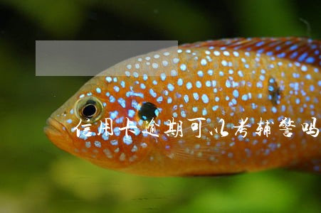 信用卡逾期可以考辅警吗 信用卡逾期可以考辅警吗