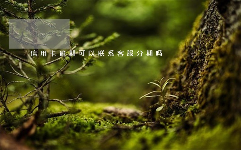 信用卡逾期可以联系客服分期吗
