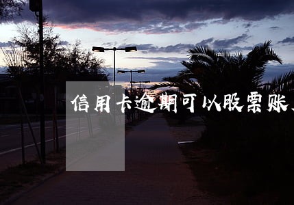 信用卡逾期可以股票账户