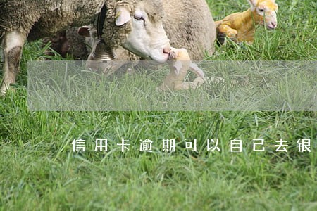 信用卡逾期可以自己去银行商量吗 信用卡逾期可以自己去银行商量吗