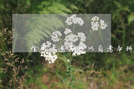信用卡逾期可以自考本科 信用卡逾期可以自考本科