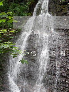信用卡逾期可以自诉吗