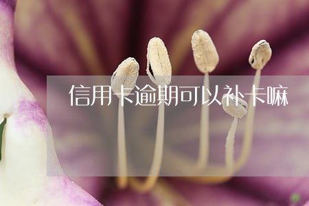 信用卡逾期可以补卡嘛