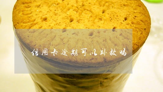 信用卡逾期可以补救吗 信用卡逾期可以补救吗