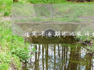 信用卡逾期可以装修贷吗