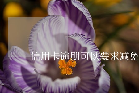 信用卡逾期可以要求减免吗 信用卡逾期可以要求减免吗