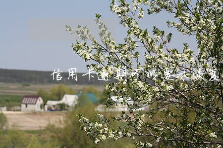 信用卡逾期可以要求恢复征信吗