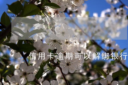 信用卡逾期可以解绑银行卡