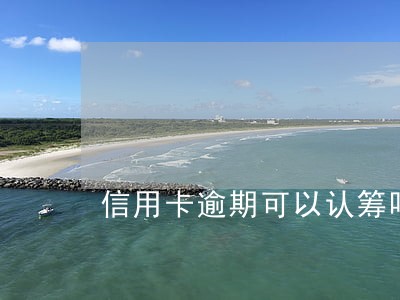 信用卡逾期可以认筹吗 信用卡逾期可以认筹吗