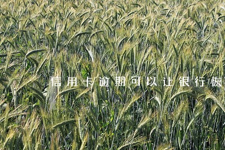 信用卡逾期可以让银行恢复吗 信用卡逾期可以让银行恢复吗