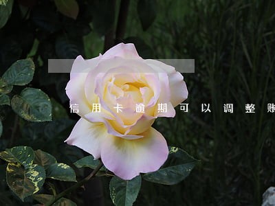 信用卡逾期可以调整账单日