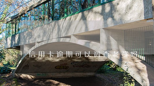 信用卡逾期可以调查老婆吗 信用卡逾期可以调查老婆吗