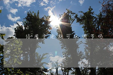 信用卡逾期可以调节吗
