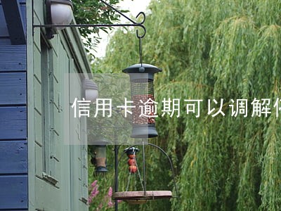 信用卡逾期可以调解停息