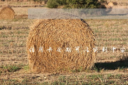 信用卡逾期可以贷到中安信贷吗 信用卡逾期可以贷到中安信贷吗