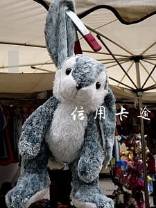 信用卡逾期可以贷款不 信用卡逾期可以贷款不