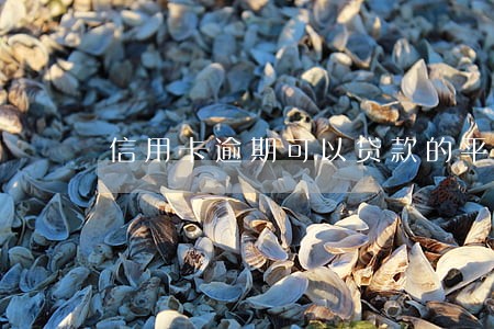 信用卡逾期可以贷款的平台 信用卡逾期可以贷款的平台