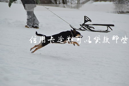 信用卡逾期可以贷款那些网贷 信用卡逾期可以贷款那些网贷