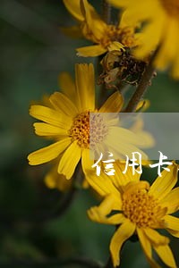 信用卡逾期可以贷还不 信用卡逾期可以贷还不