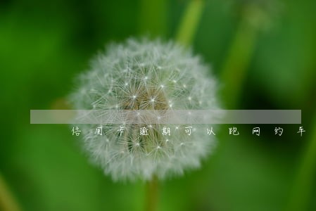 信用卡逾期可以跑网约车吗 信用卡逾期可以跑网约车吗