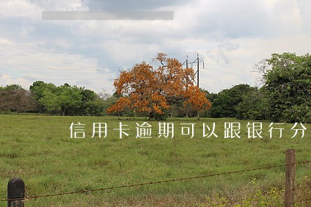 信用卡逾期可以跟银行分期 信用卡逾期可以跟银行分期