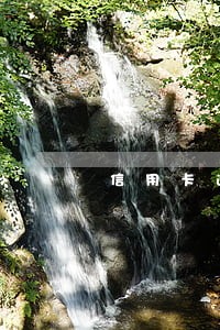信用卡逾期可以还一部分 信用卡逾期可以还一部分