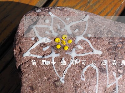 信用卡逾期可以还清房贷吗 信用卡逾期可以还清房贷吗