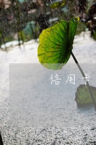 信用卡逾期可以追究吗