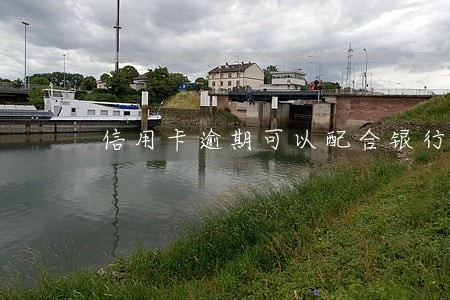 信用卡逾期可以配合银行还款吗 信用卡逾期可以配合银行还款吗