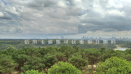 信用卡逾期可以重组分期吗