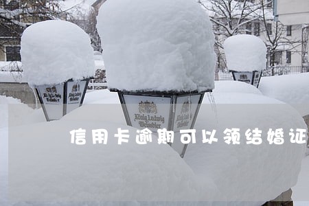 信用卡逾期可以领结婚证 信用卡逾期可以领结婚证
