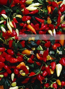 信用卡逾期可减免违约金吗 信用卡逾期可减免违约金吗
