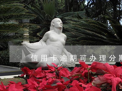 信用卡逾期可办理分期付款 信用卡逾期可办理分期付款